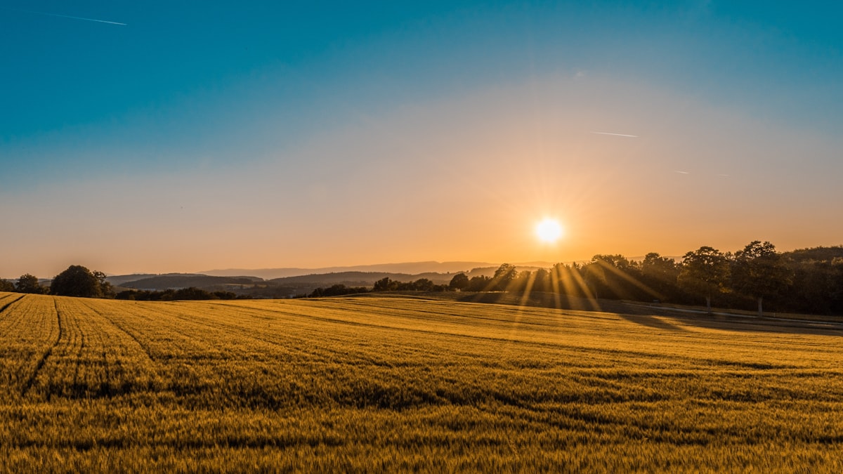 Cultivated fields across the Spanish plateau