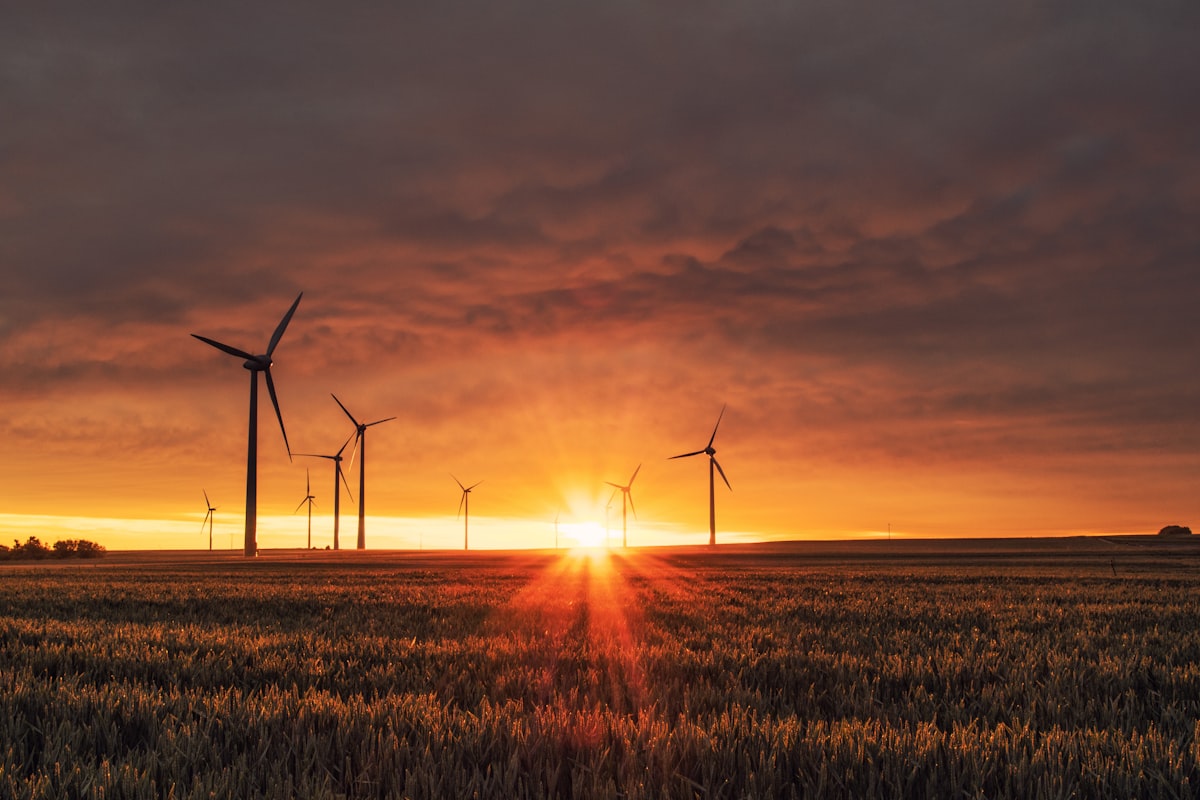 Local energy communities: how they work in 2026